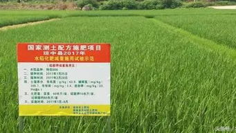 海南农户种植作物产量好 只因遇上了 良才