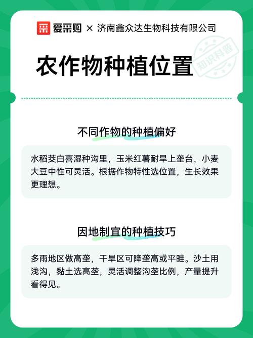 农作物种植位置